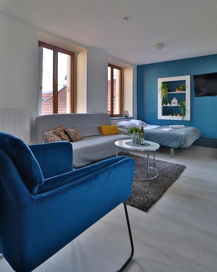 Studio De 30M² Hypercentre Tres Calme Montbéliard المظهر الخارجي الصورة