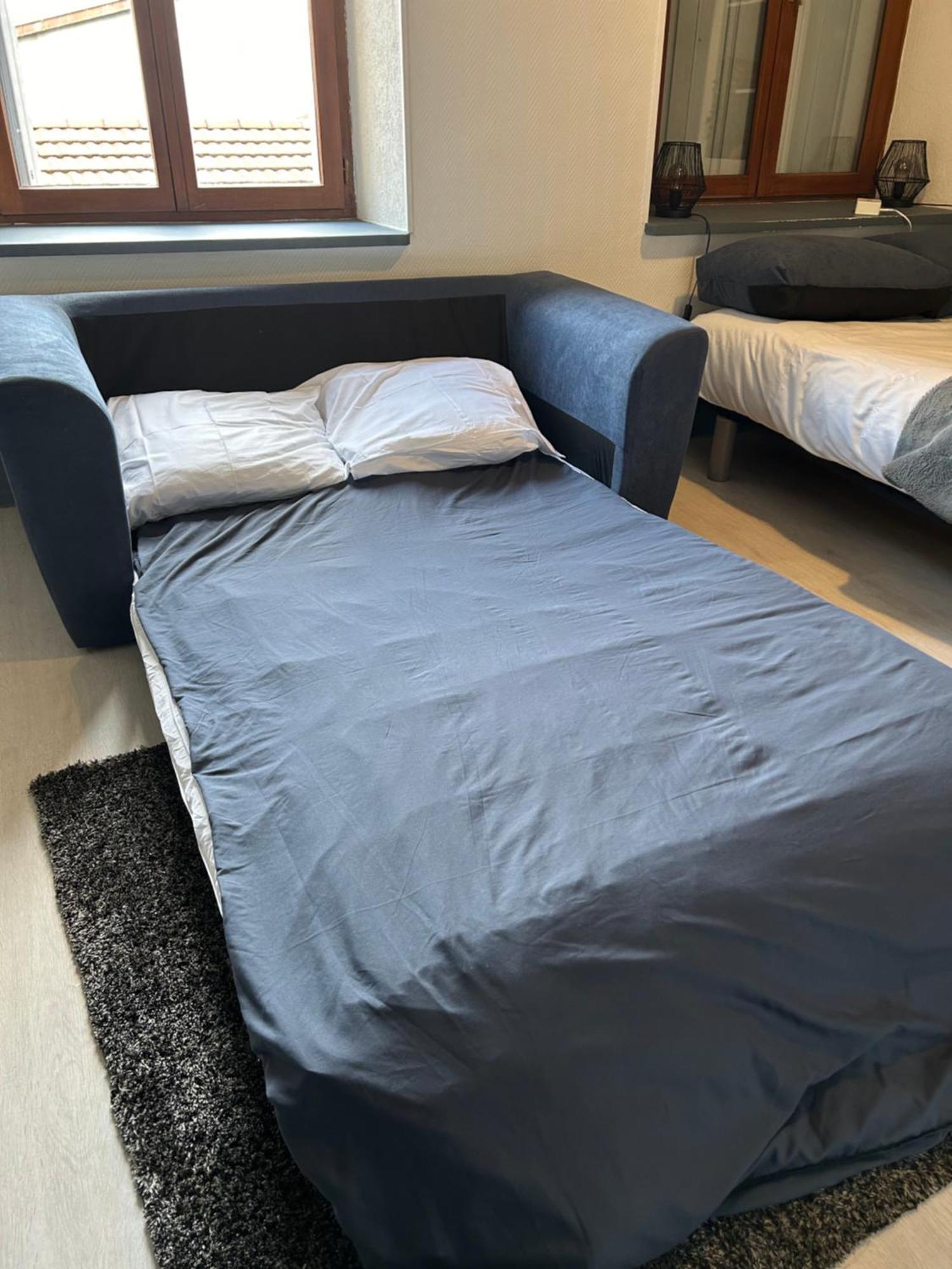 Studio De 30M² Hypercentre Tres Calme Montbéliard المظهر الخارجي الصورة
